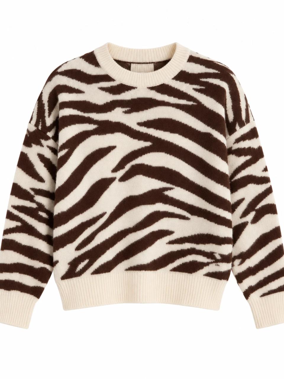 Zebra jumper, product photo on white background